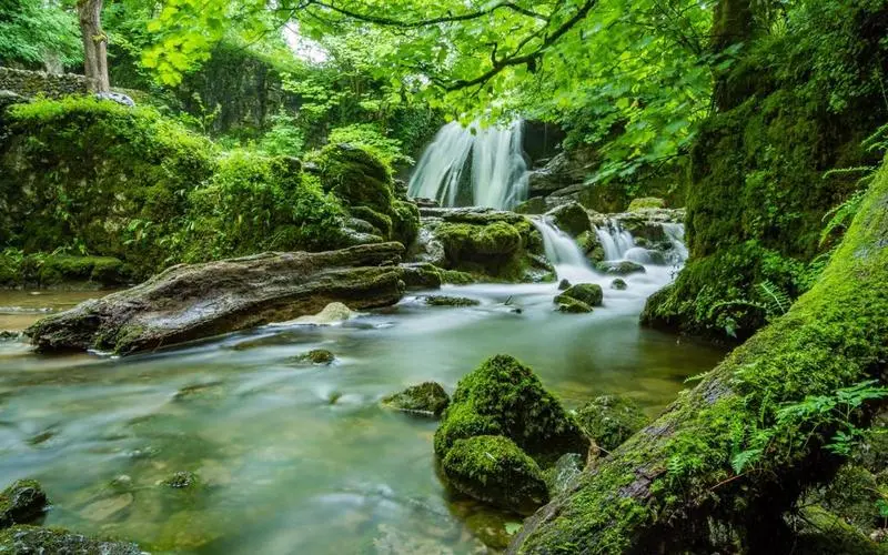 高效工业高标准